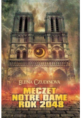 Meczet Notre Dame Rok 2048