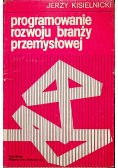 Programowanie rozwoju branży przemysłowej