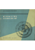 Wzornictwo ceramiczne IWP