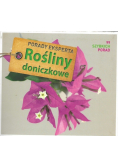 Porady Eksperta Rośliny doniczkowe