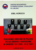 Horoch Podziemie Zbrojne W Polsce Po Ak - Owskie i Narodowe