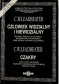 Człowiek widzialny i niewidzialny Czakry