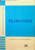 Skamander rola i znaczenie