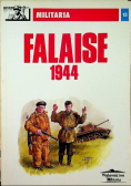 Militaria Falaise 1944
