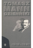 Mann Dzienniki 1918 - 1921