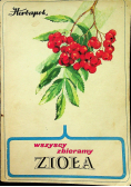 Wszyscy zbieramy zioła