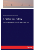 A Flat Iron for a Farthing