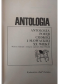 Antologia poezji czeskiej i słowackiej XX wieku