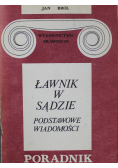 Ławnik w sądzie Podstawowe wiadomości