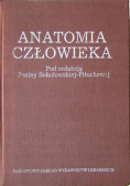 Anatomia człowieka