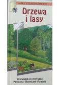 Drzewa i lasy