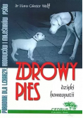 Zdrowy pies dzięki homeopatii