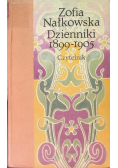 Dzienniki 1899 1905