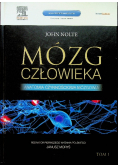 Mózg człowieka Tom 1