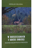 W Bieszczadach i gdzie indziej