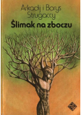 Ślimak na zboczu