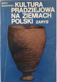 Kultura pradziejowa na ziemiach Polski