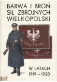 Barwa i broń sił zbrojnych Wielkopolski w latach 1919 1920