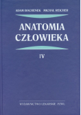 Anatomia człowieka t.4