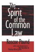 The Spirit of the Common Law