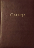 Galicja Album Widoków