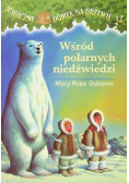 Wśród polarnych niedźwiedzi