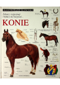 Ilustrowane słowniki. Konie