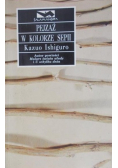 Pejzaż w kolorze sepii