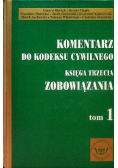 Komentarz do kodeksu cywilnego Tom 1