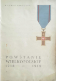 Powstanie wielkopolskie 1918 - 1919