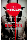 Po zmierzchu