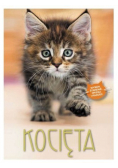 Kocięta