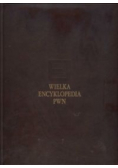 Wielka Encyklopedia PWN Tom 31