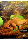 The British Amphibians and Reptiles