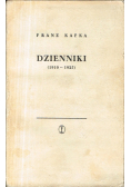 Dzienniki 1910 1925