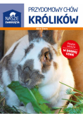 Przydomowy chów królików