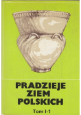 Pradzieje Ziem Polskich Tom I  Cz I