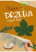 Drzewa naszych lasów. zeszyt z kalką
