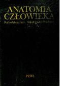 Anatomia człowieka
