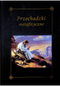 Przechadzki metafizyczne