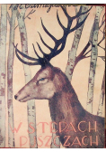 W puszczach i stepach 1930 r.