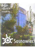 Sosnowiec Portret miasta