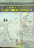 Podstawy anatomii człowieka