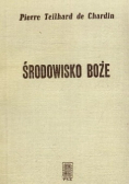 Środowisko Boże