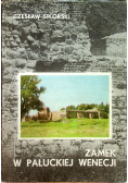 Zamek w Pałuckiej Wenecji