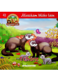 Mieszkam blisko lasu Tchórz