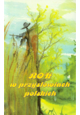 Rok w przysłowiach polskich