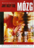 Jak uczy się mózg