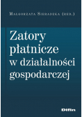 Zatory płatnicze w działalności gospodarczej