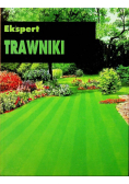 Trawniki